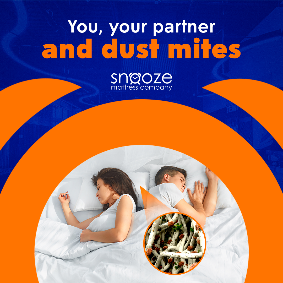 Partners sleeping side by side and with dust mites